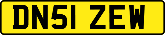 DN51ZEW