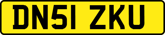 DN51ZKU