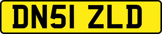DN51ZLD