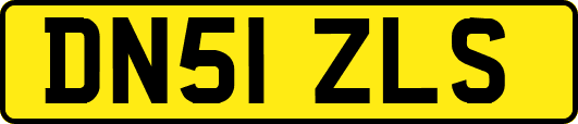 DN51ZLS
