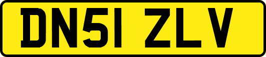 DN51ZLV