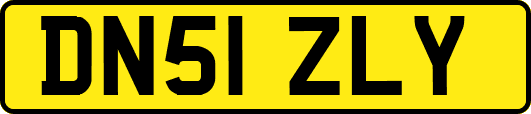 DN51ZLY