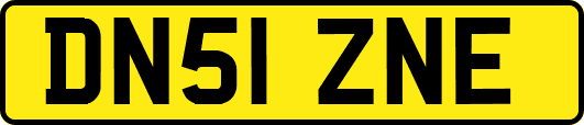 DN51ZNE