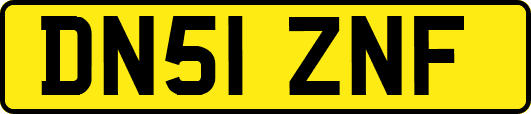 DN51ZNF
