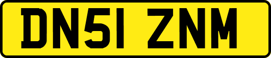 DN51ZNM