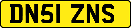 DN51ZNS