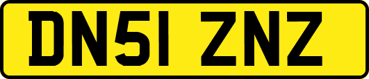 DN51ZNZ