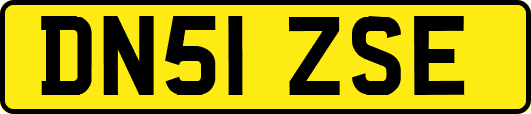 DN51ZSE