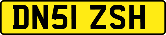 DN51ZSH