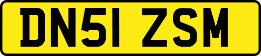 DN51ZSM