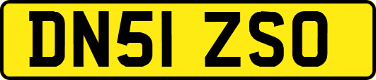 DN51ZSO
