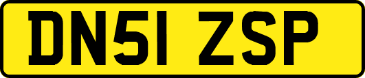 DN51ZSP