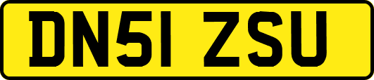DN51ZSU