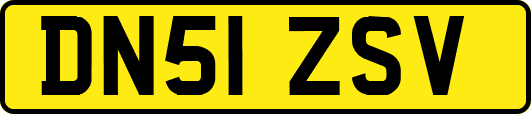 DN51ZSV