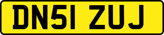 DN51ZUJ