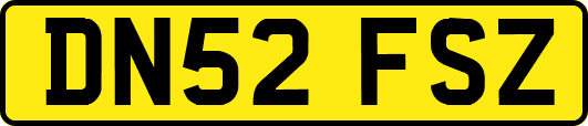 DN52FSZ