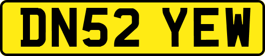 DN52YEW