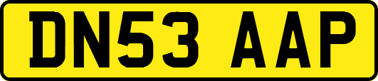 DN53AAP