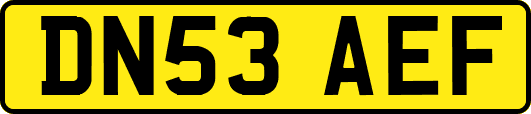 DN53AEF