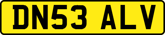 DN53ALV