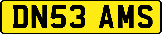 DN53AMS