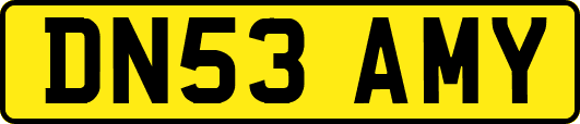 DN53AMY