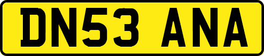 DN53ANA