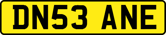 DN53ANE