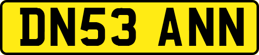 DN53ANN