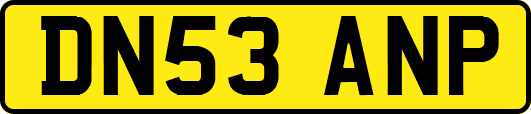 DN53ANP
