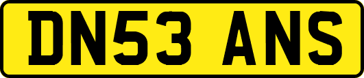 DN53ANS
