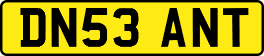 DN53ANT