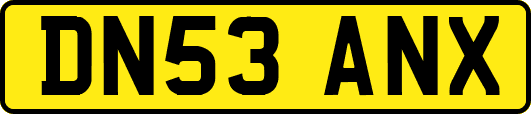 DN53ANX