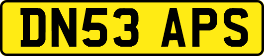 DN53APS