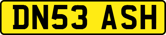 DN53ASH