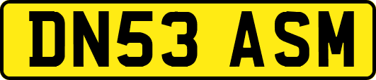 DN53ASM