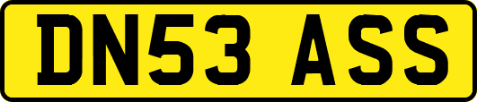 DN53ASS