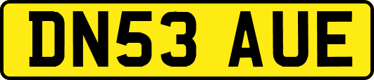 DN53AUE