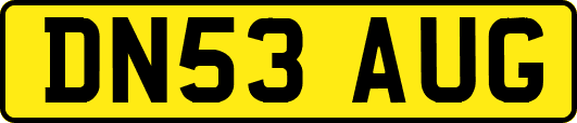 DN53AUG