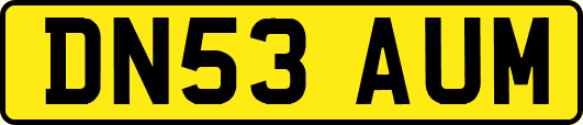 DN53AUM