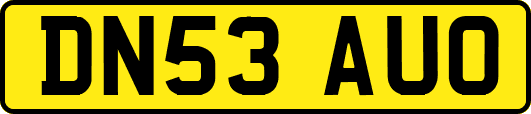 DN53AUO