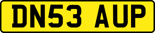 DN53AUP