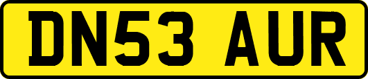 DN53AUR