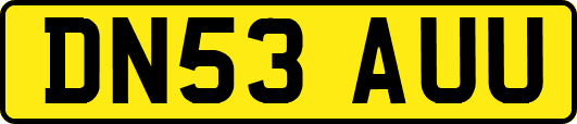DN53AUU