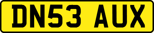 DN53AUX