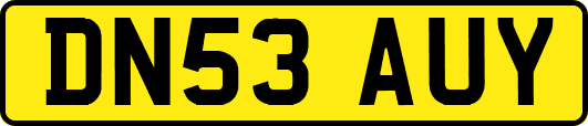 DN53AUY