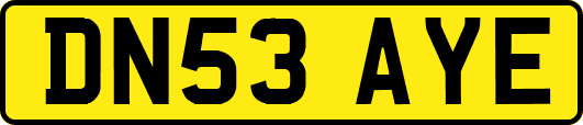 DN53AYE