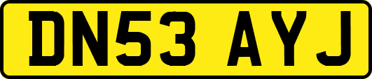DN53AYJ