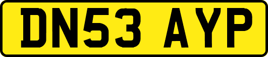 DN53AYP