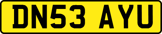 DN53AYU